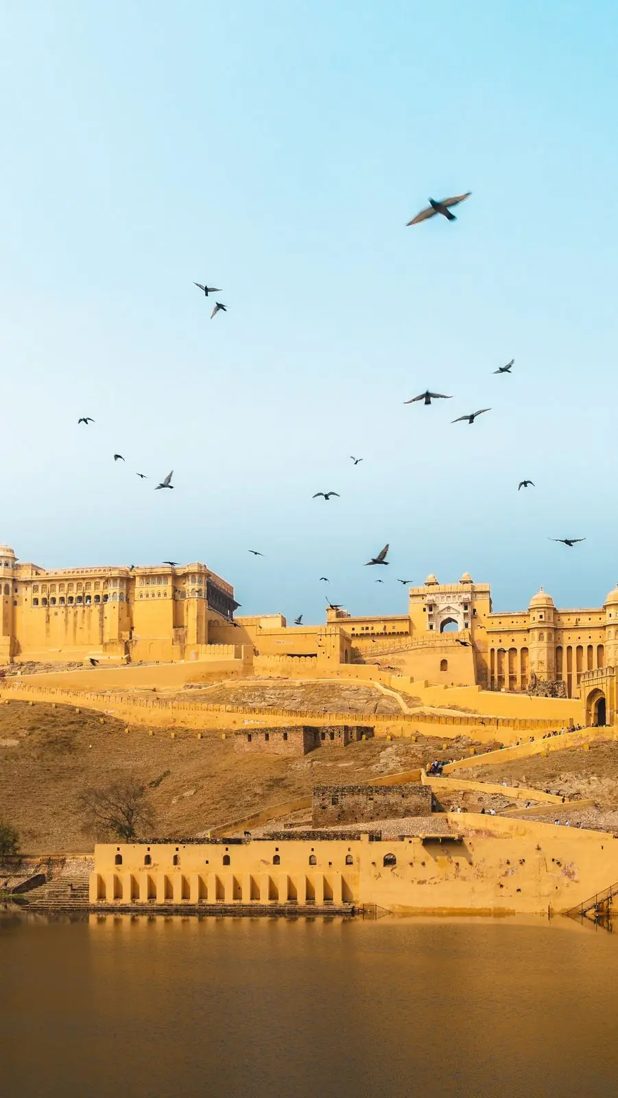 Amber Fort, Jaipur