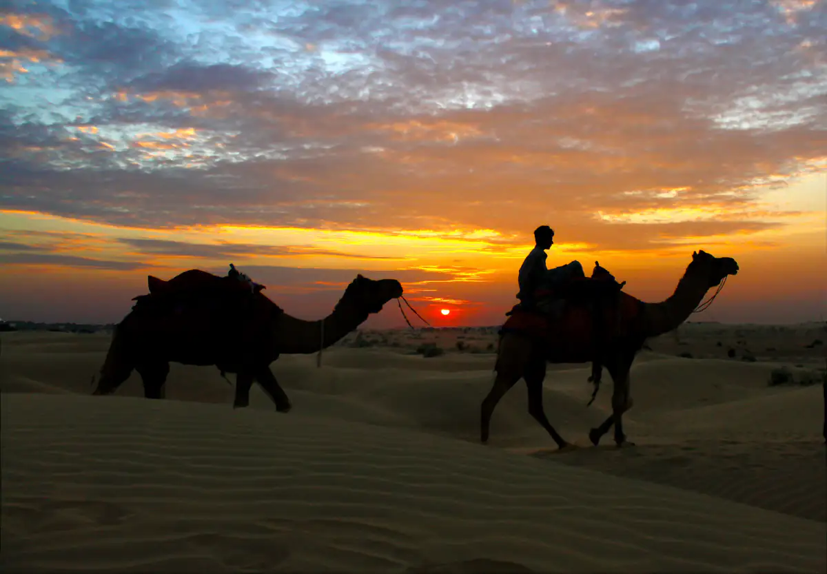 Camel riders silhouetted at sunset on the Sam sand dunes near Jaisalmer