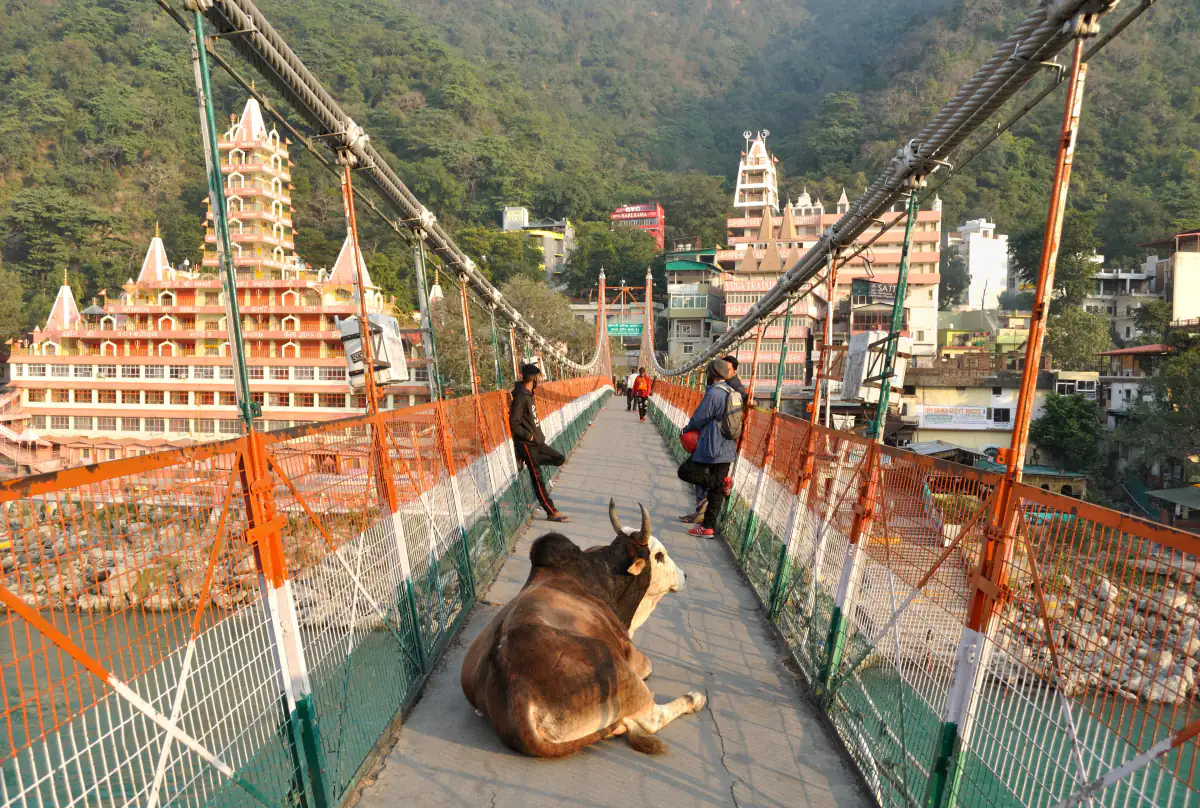 Laxman Jhula suspension bridge in Rishikesh with the multi-storey Trayambakeshwar temple behind