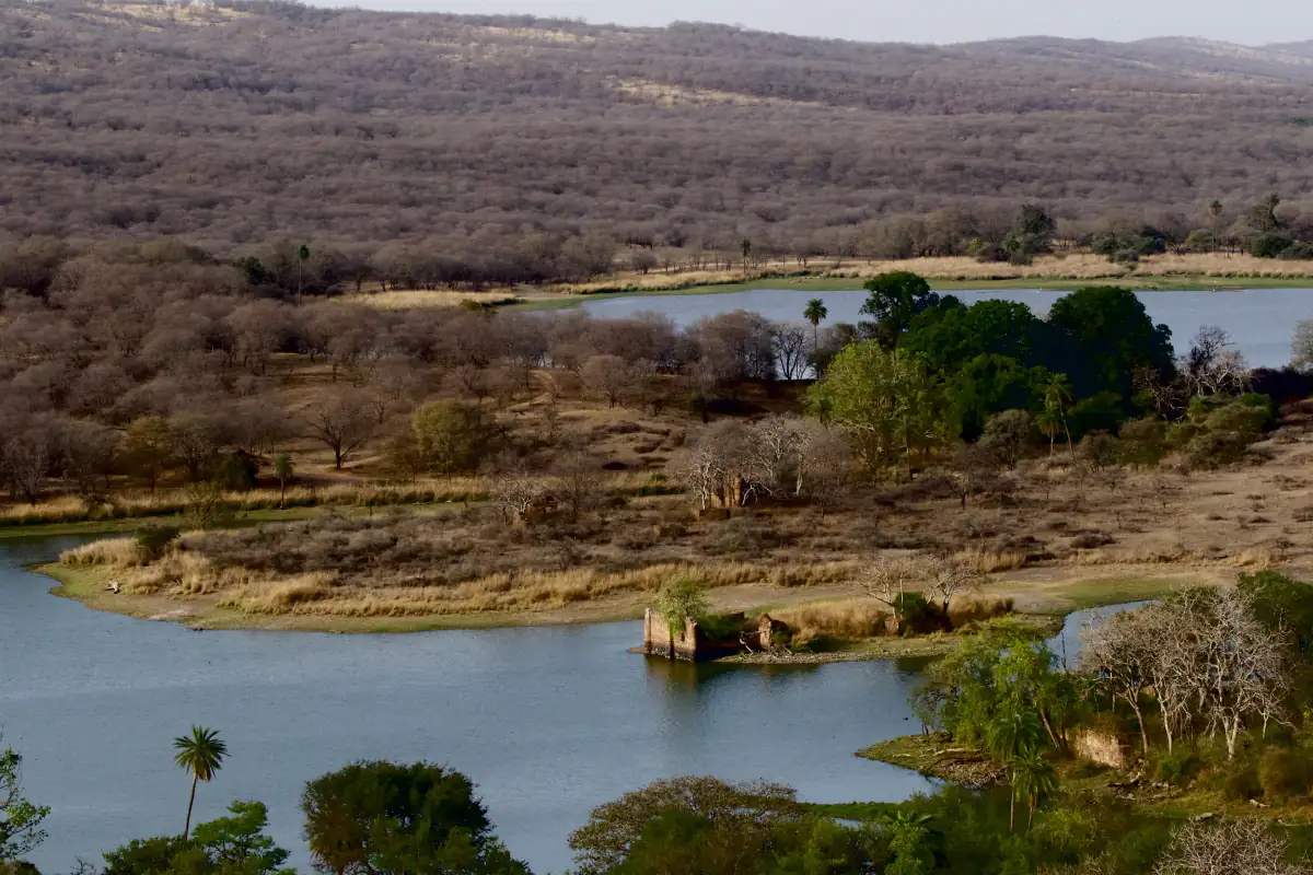 Padam Talao lake and dry forest in Ranthambore National Park