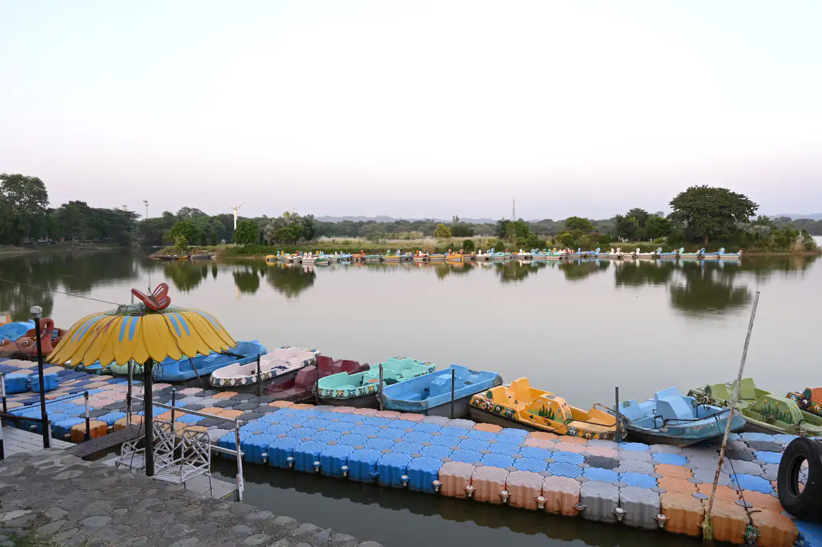 Paddle boats moored at Sukhna Lake, Chandigarh, in the evening