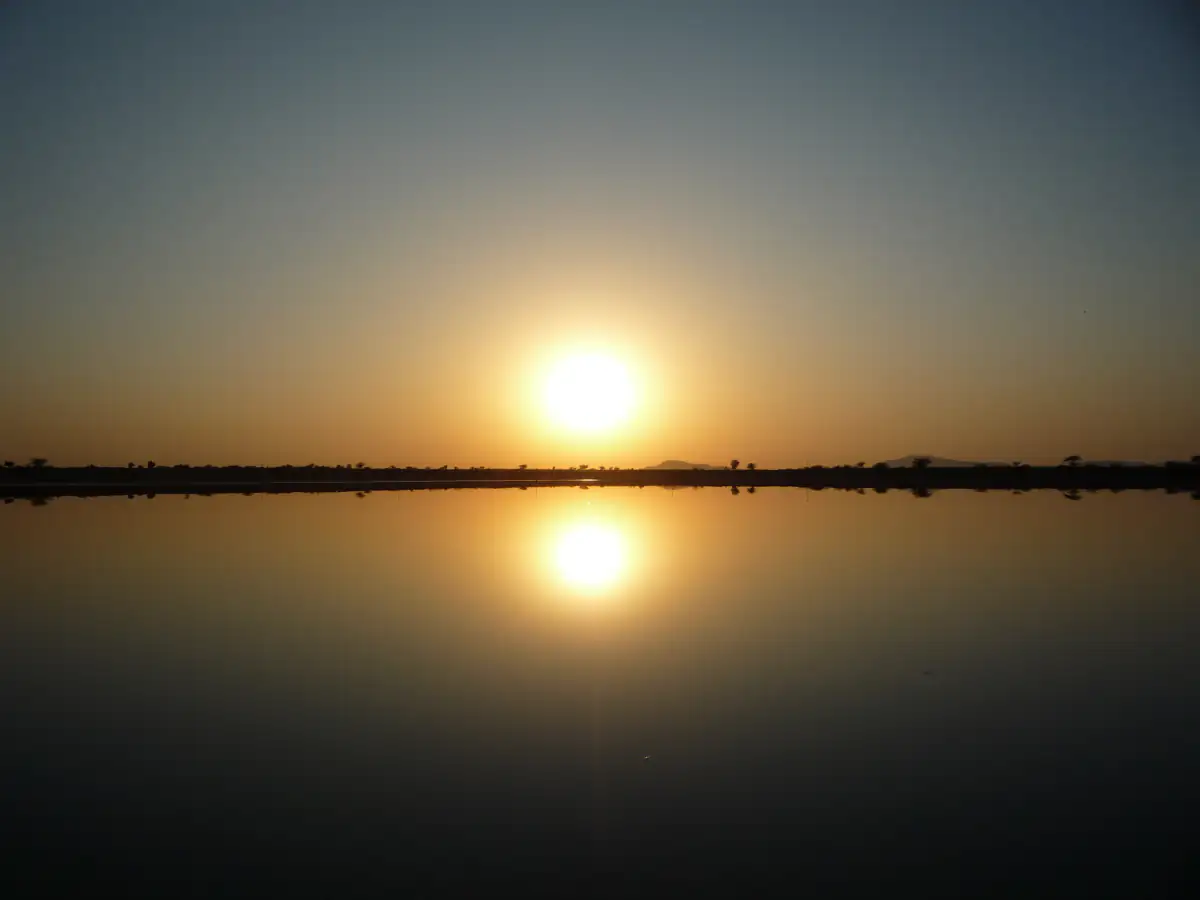 Sunset reflected in Sambhar Lake
